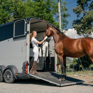 Ifor Williams HBX506 frontutlasting SORT